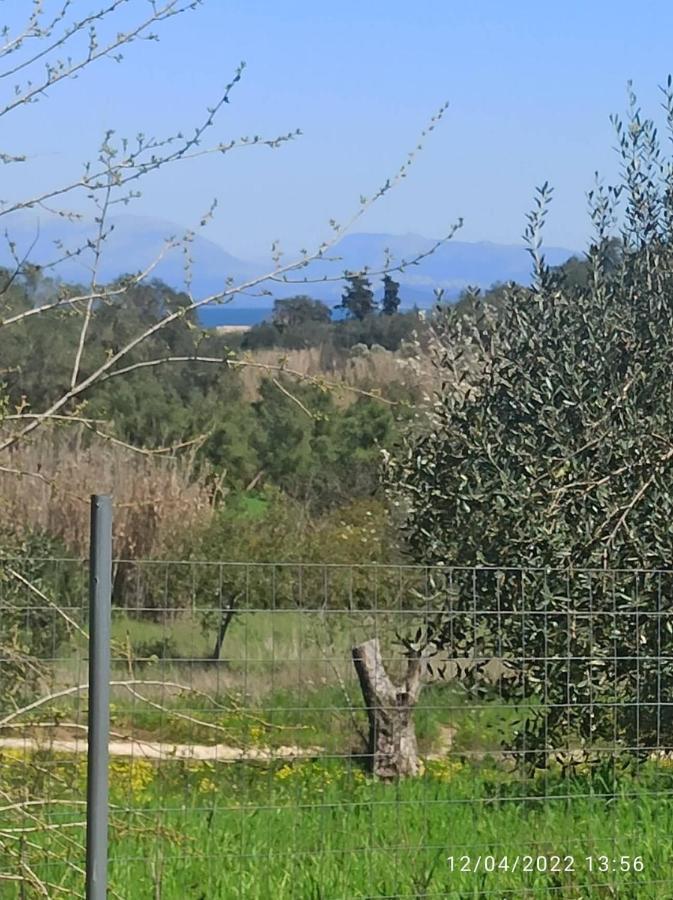 Corfu Oasis Studio Neochorakion Buitenkant foto