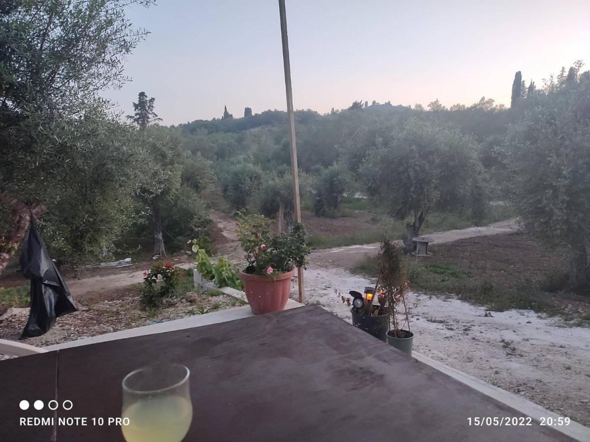 Corfu Oasis Studio Neochorakion Buitenkant foto