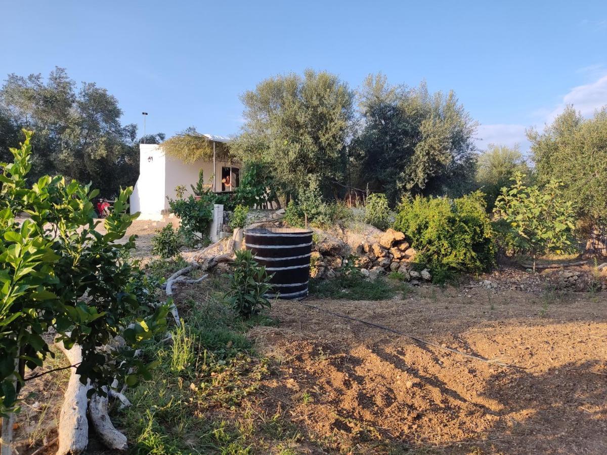 Corfu Oasis Studio Neochorakion Buitenkant foto