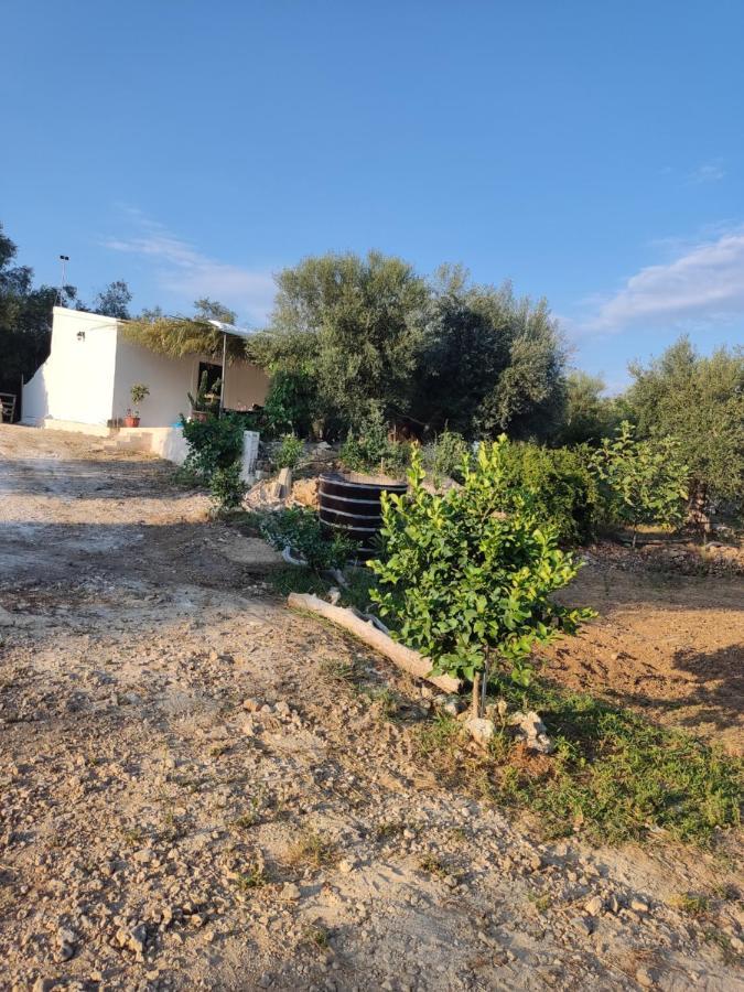 Corfu Oasis Studio Neochorakion Buitenkant foto